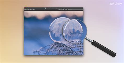 Zoom In and Zoom Out on Mac