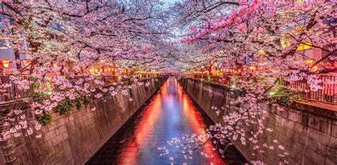 Zoom Virtual Background Images Japan