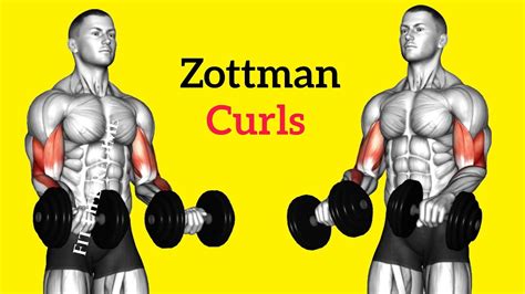 Zottman Curls