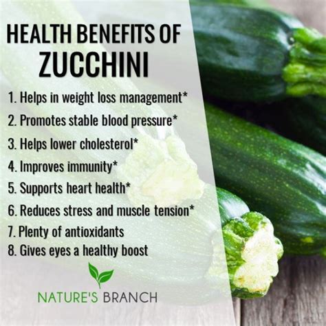 Manfaat Bot Zucchini