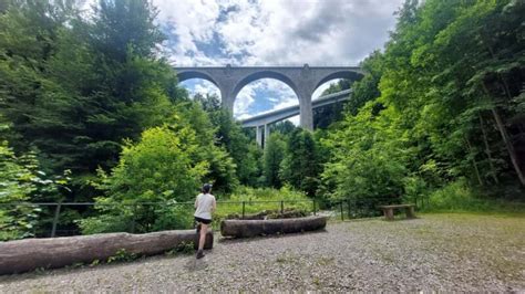 Zug Lorze Valley Forest Hike Review: Guide & Bus Transfer