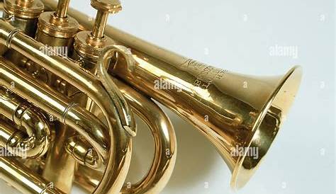 Metais Brass Musical Instruments Brass Instruments Brass Instrument