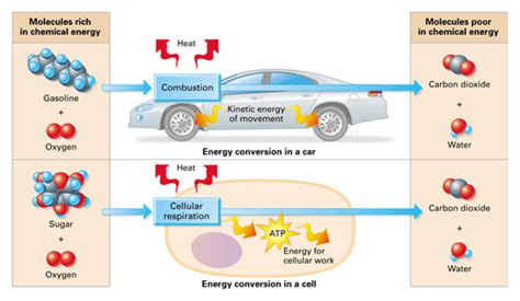 The energy transformation inside the cars Science online