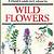 a field guide in colour to wild flowers