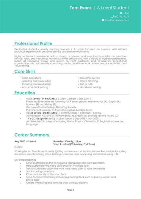 Student entry level Sales Assistant resume template