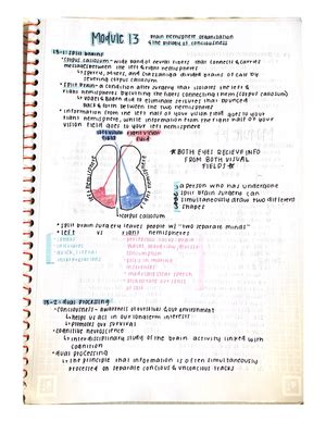 a basic assumption underlying short-term memory is that it is