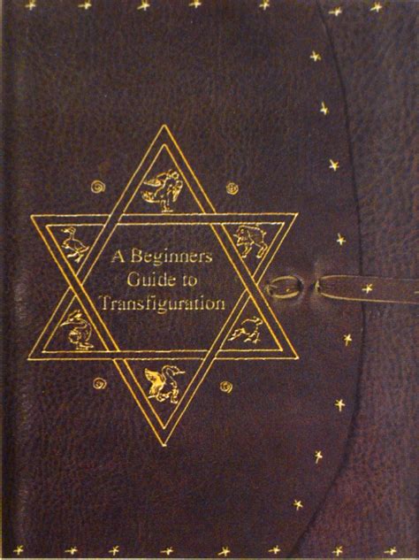 a beginner's guide to transfiguration