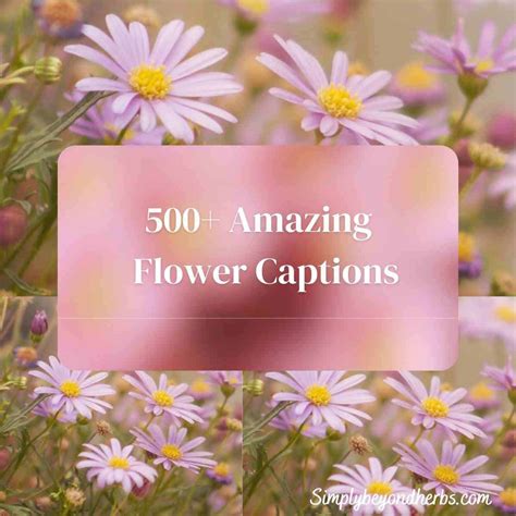 A Caption For Flowers