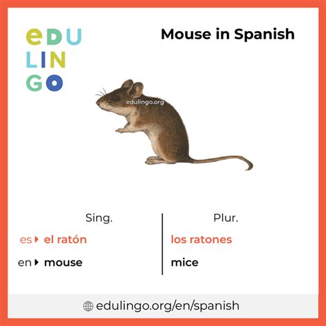 A Computer Mouse In Spanish