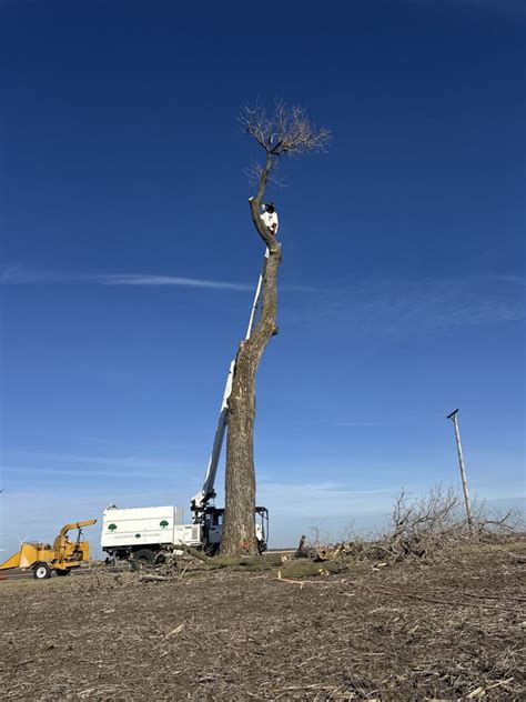 A Cutting Edge Tree Service