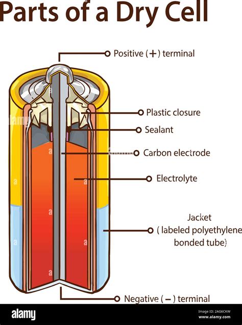 A Dry Cell Of A Battery