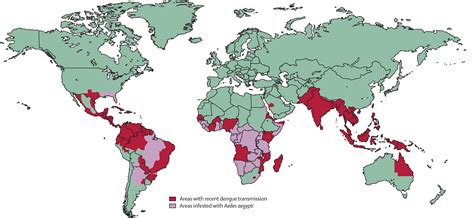 a global dengue epidemic