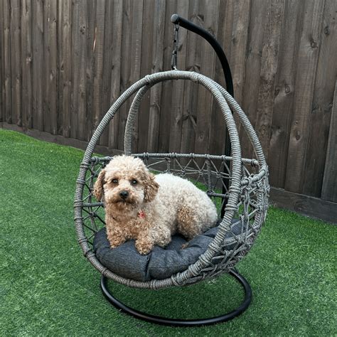 A Hanging Pet Bed