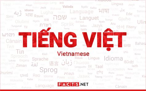 A In Vietnamese