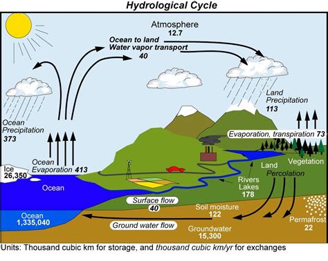 a level geography water cycle quizlet