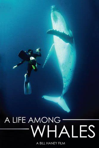a life among whales