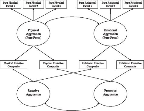 a longitudinal study of forms and functions of aggressive behavior in early childhood