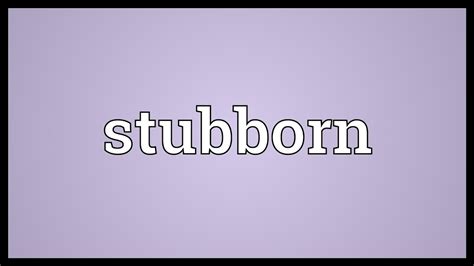 a name that means stubborn