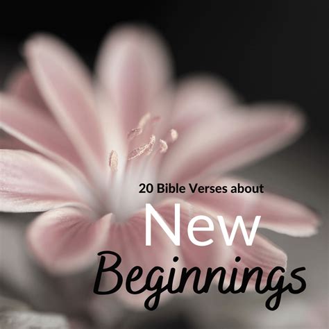 A New Beginning Verse