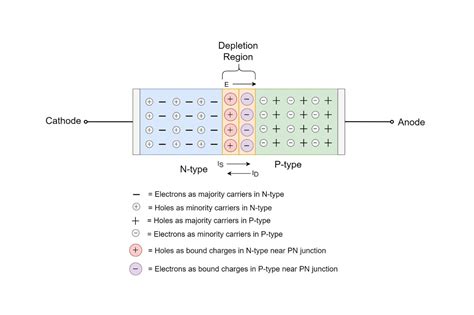 Must See A P N I 2023