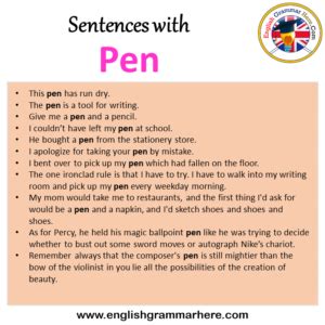 A Pen Example Sentence