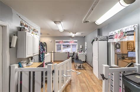 Premier Pet Parlor for Dog Grooming & Spa