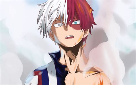 a picture of todoroki