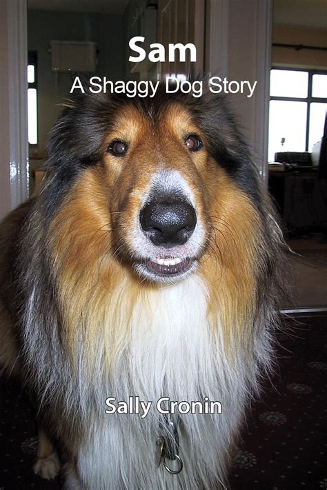 a shaggy dog story