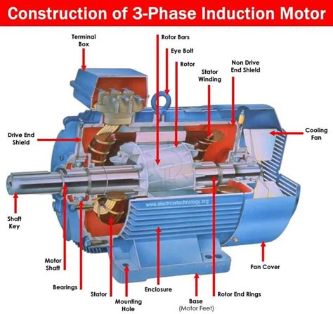 a three-phase induction motor may have
