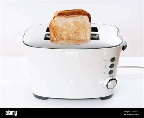 A Toaster Bread Is An Example Of