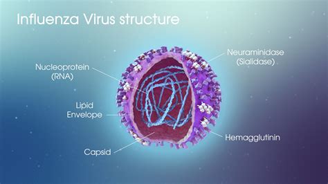 Understanding a Type of Flu Virus and Its Impact