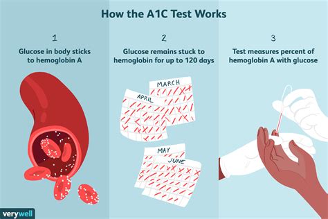 Understanding Your A1C Blood Test Results for Better Health