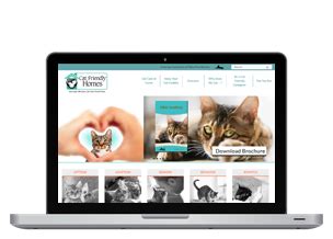 A Declawing Survey of 156 AAFP CAT FRIENDLY Practices City the Kitty