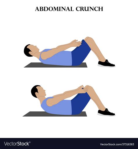 Ab Exercises Crunches Planks