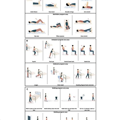 Ab Exercises For Bedridden  A Complete Guide