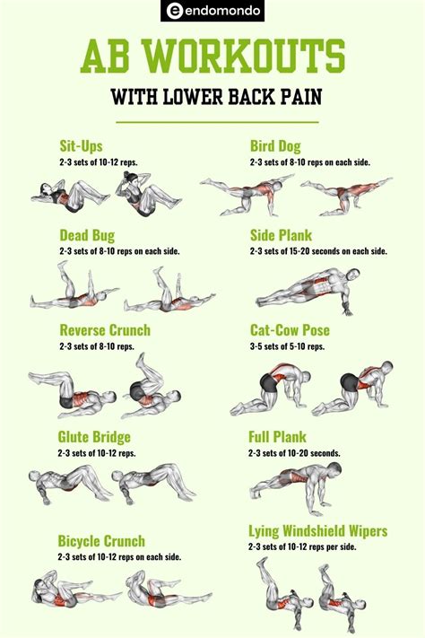 Ab Workout Back Support