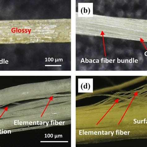 Abaca Fiber Composite