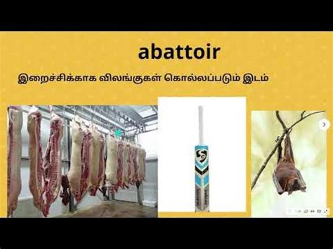 abattoir meaning in tamil