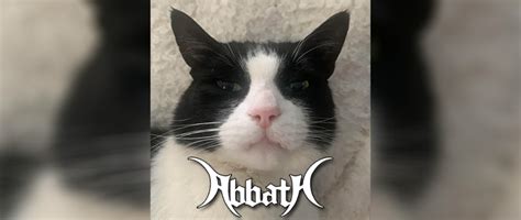 abbath cat