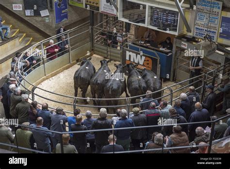 aberdeen livestock auction market