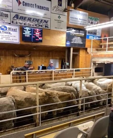 aberdeen sd livestock auction