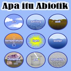 Komponen Abiotik dalam Ekosistem
