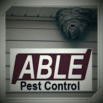 able pest control brockton ma