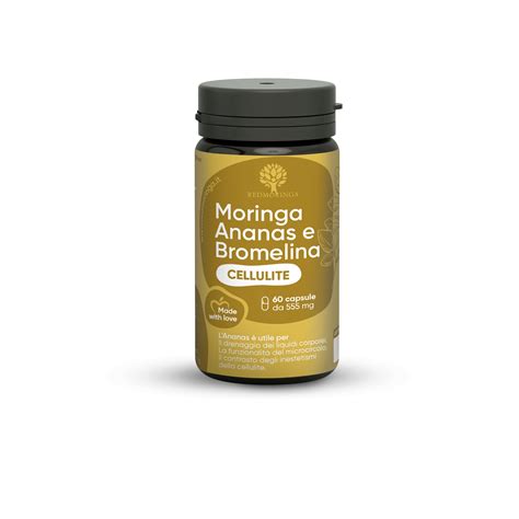 abnehmen mit moringa