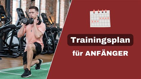 abnehmen trainingsplan