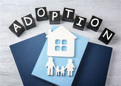 about a child adoption agency