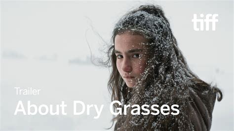 about dry grasses 2023 trailer