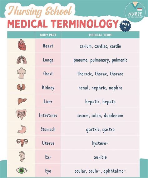 about medical terminology