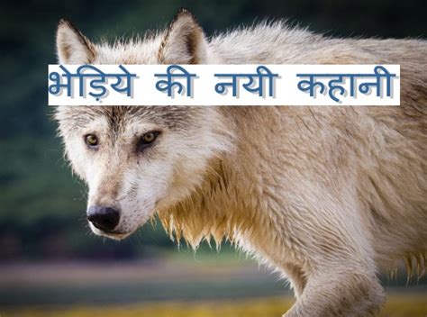 Topics About Wolf In Hindi Updated