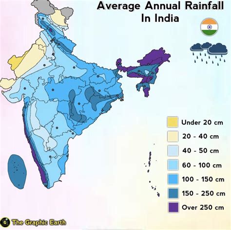 What To Do During Above Average Rainfall